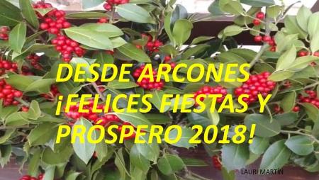 Imagen Felicitación Año Nuevo 2018