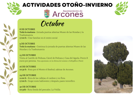 Imagen ACTIVIDADES MES DE OCTUBRE